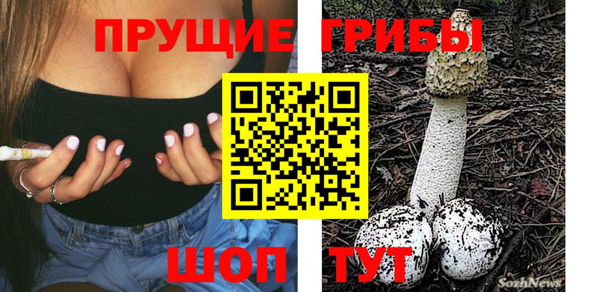 Псилоцибиновые грибы Psilocybe  Вход с VPN  Коммунар  купить  цена  Псилоцибиновые грибы Psilocybe 