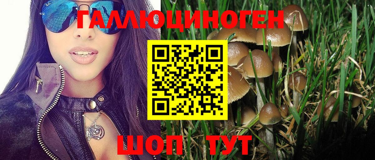 Галлюциногенные грибы мухоморы Коммунар